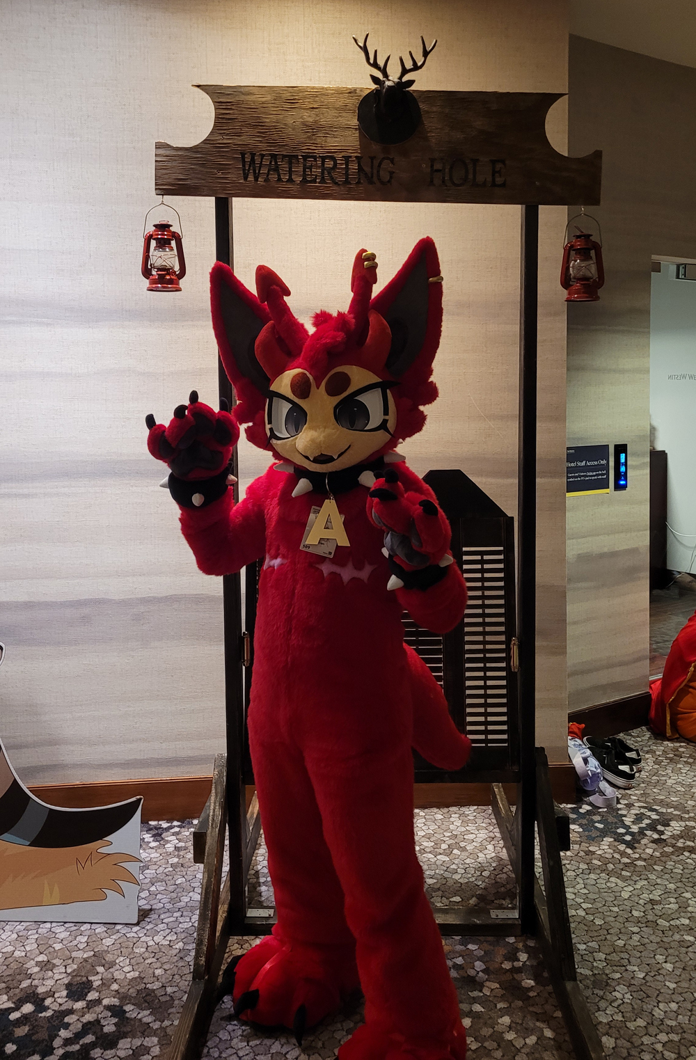 Photo by @lynxfeathers on bluesky/instagram